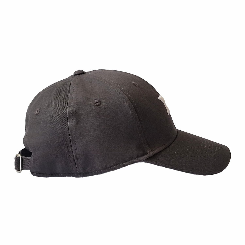 LOGO CAP - GRIGIO - AIRSHARX®